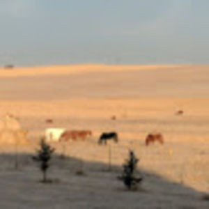 Meet your Posher, Bobbi